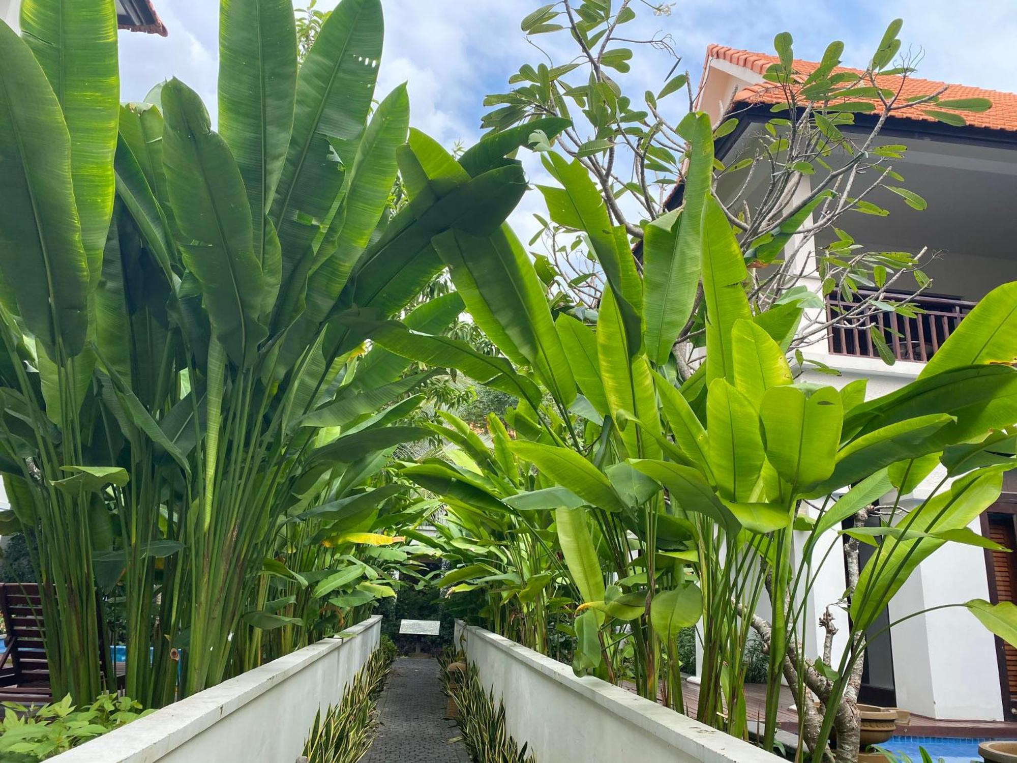 Tropical Pool Villas דה נאנג מראה חיצוני תמונה